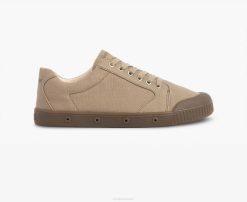 Adult Spring Court 04RBPH22 C2 Canvas Footwear